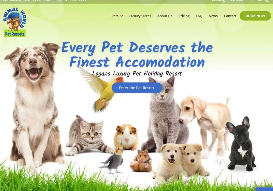 WordPress Site for Pet Accomidation